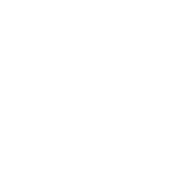 Opportunities icon.